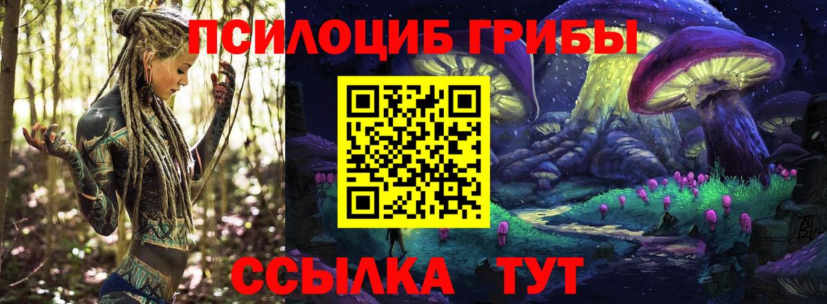 Галлюциногенные грибы Magic Shrooms  Вход с VPN  Холмск  Галлюциногенные грибы GOLDEN TEACHER 